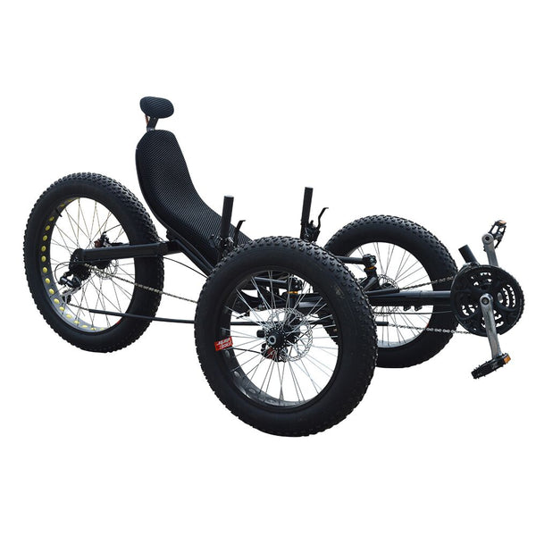 Recumbent store trike tires